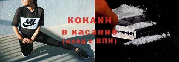 твердый Арсеньев