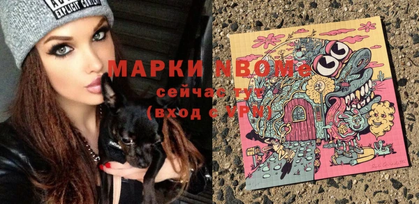 твердый Арсеньев