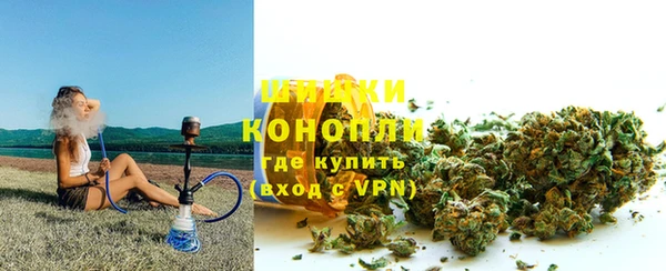 твердый Арсеньев
