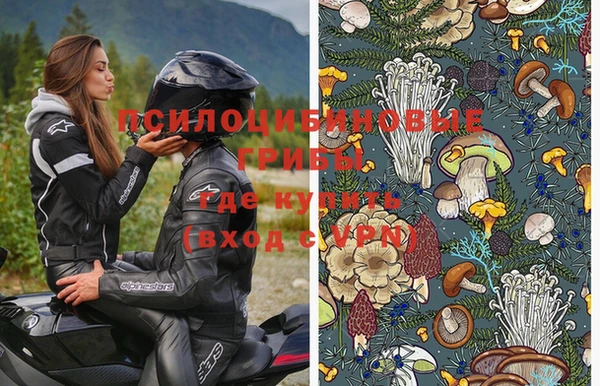 каннабис Аркадак