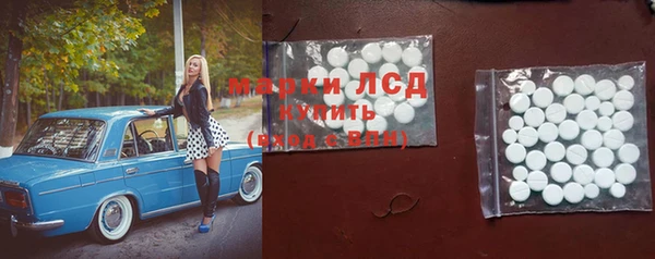 твердый Арсеньев