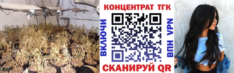 Дистиллят ТГК вейп  Купить закладки  Сенгилей 
