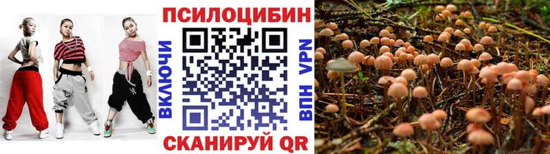 Псилоцибиновые грибы GOLDEN TEACHER Купить где Сенгилей